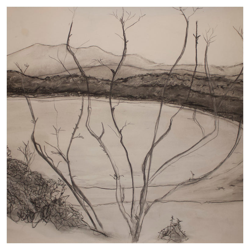 Drawings | Landscapes
