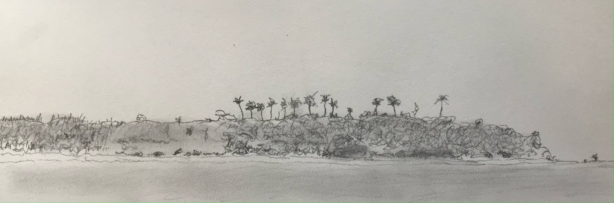 Fiji landscape drawing